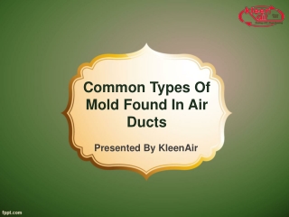 Common Types Of Mold Found In Air Ducts