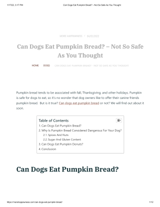 Can Dogs Eat Pumpkin Bread_ - Not So Safe As You Thought