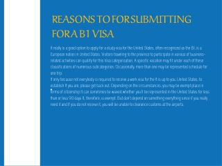 Reasons to for Submitting for a B1 Visa