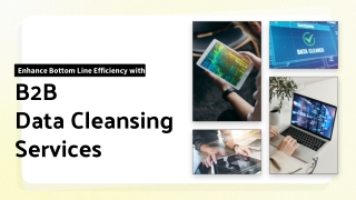 Enhance Bottom Line Efficiency with B2B Data Cleansing Services