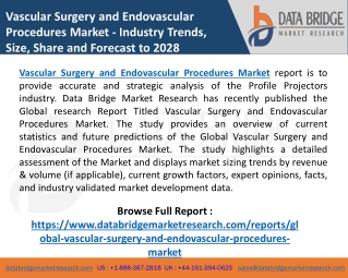 Vascular Surgery and Endovascular Procedures Market Size, Share, Segmentation