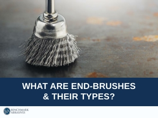 What are End Brushes and Their Types