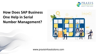 How Does SAP Business One Help in Serial Number Management?