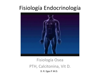 Fisiología Endocrinología