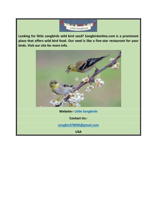 Little Songbirds | Songbirdonline.com