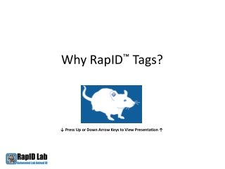 Why RapID Tags?