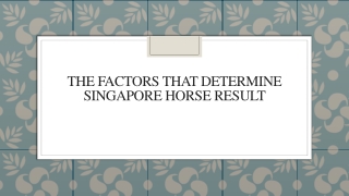 The Factors That Determine Singapore Horse Result