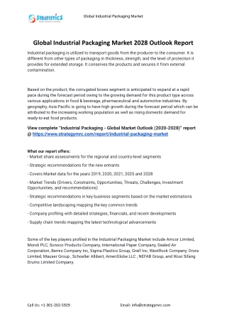 2021 Industrial Packaging Industry Global Analysis Report