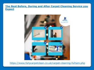 The Best Before, During and After Carpet Cleaning Service