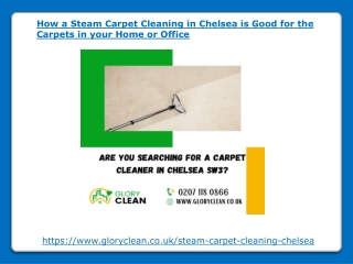 How a Steam Carpet Cleaning in Chelsea is Good for the Carpets in your Home