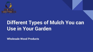 Different Types of Mulch You can Use in Your Garden