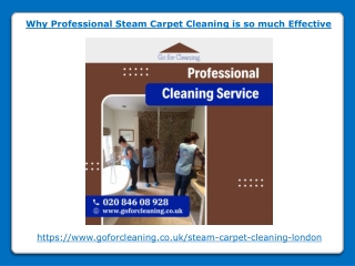 Why Professional Steam Carpet Cleaning is so much Effective