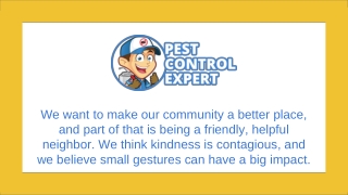 Pest Inspection Services - Pest Control Expert