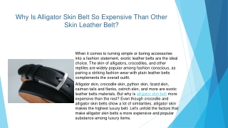 Why Is Alligator Skin Belt So Expensive Than Other Skin Leather Belt