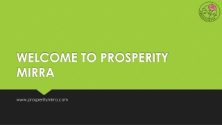 Get Terracotta Bird Feeder |Prosperity Mirra