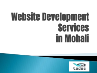 Website Development Services in Mohali
