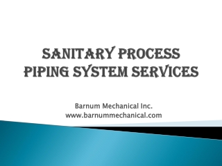 Sanitary Process Piping System Services