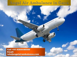 Angel Air Ambulance Service in Gaya at Reasonable Cost