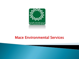 How To Search Termite Pest Control Companies In Ar-Riyadh