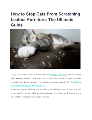 How to Stop Cats From Scratching Leather Furniture The Ultimate Guide