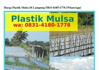 Harga Plastik Mulsa Di Lampung O8ᣮ1·Կ18O·1ᜪᜪ8(WA)