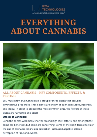 Everything About Cannabis | IROA Tech