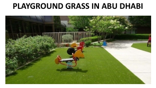 PLAYGROUND GRASS IN ABU DHABI