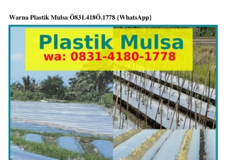 Warna Plastik Mulsa O8ᣮl·Կl8O·lᜪᜪ8{WhatsApp}