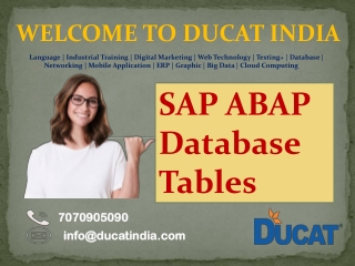 SAP ABAP Database Table
