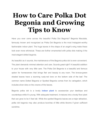 How to Care Polka Dot Begonia and Growing Tips to Know_