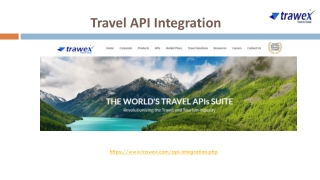 Travel API Integration