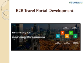 B2B Travel Portal Development