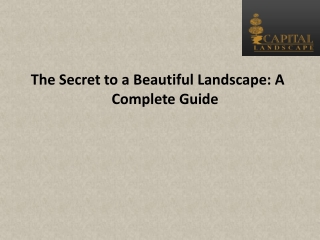 The Secret to a Beautiful Landscape A Complete Guide