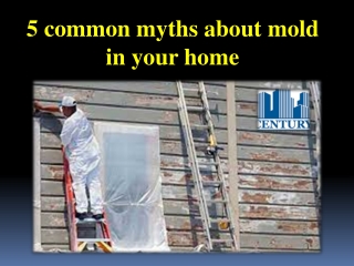 5 common myths about mold in your home