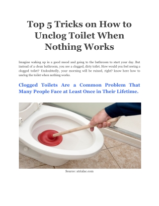 Top 5 Tricks on How to Unclog Toilet When Nothing Works