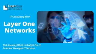 Layer One Networks Managed It Services