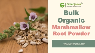 Bulk Organic Marshmallow Root Powder | Organic Marshmallow Root Powder Supplier