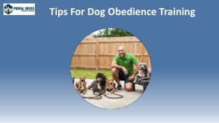 Tips For Dog Obedience Training  - Primal Needs