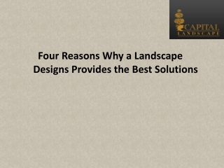 Four Reasons Why a Landscape Designs Provides the Best Solutions