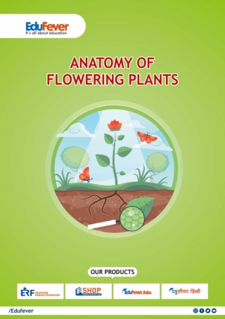 ANATOMY OF FLOWERING PLANTS E-Book