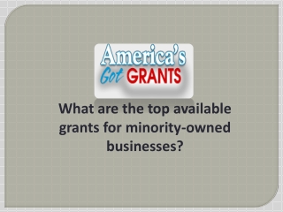 What are the top available grants for minority-owned businesses ?