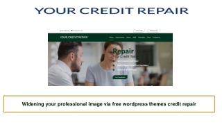 Widening your professional image via free wordpress themes credit repair