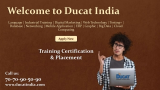 Join Online Web Designing Training in Noida