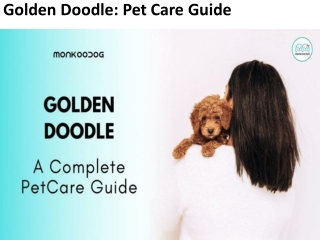Golden Doodle: Pet Care Guide