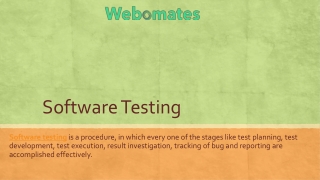 Software Testing