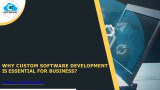 Why Company Should Depend on Custom Software Development