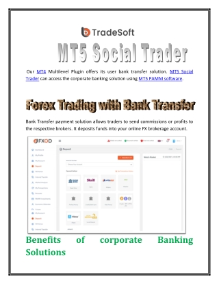 MT5 Social Trader