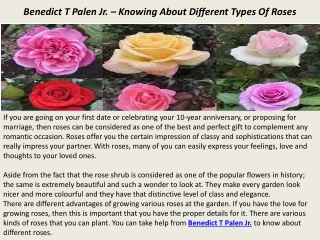 Benedict T Palen Jr. – Knowing About Different Types Of Roses