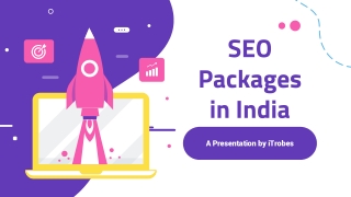 SEO Packages in India - iTrobes