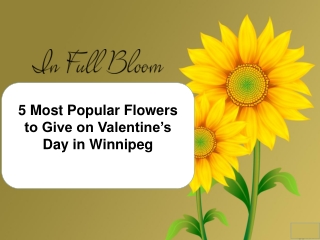 Most Popular Flowers to Give on Valentine’s Day in Winnipeg